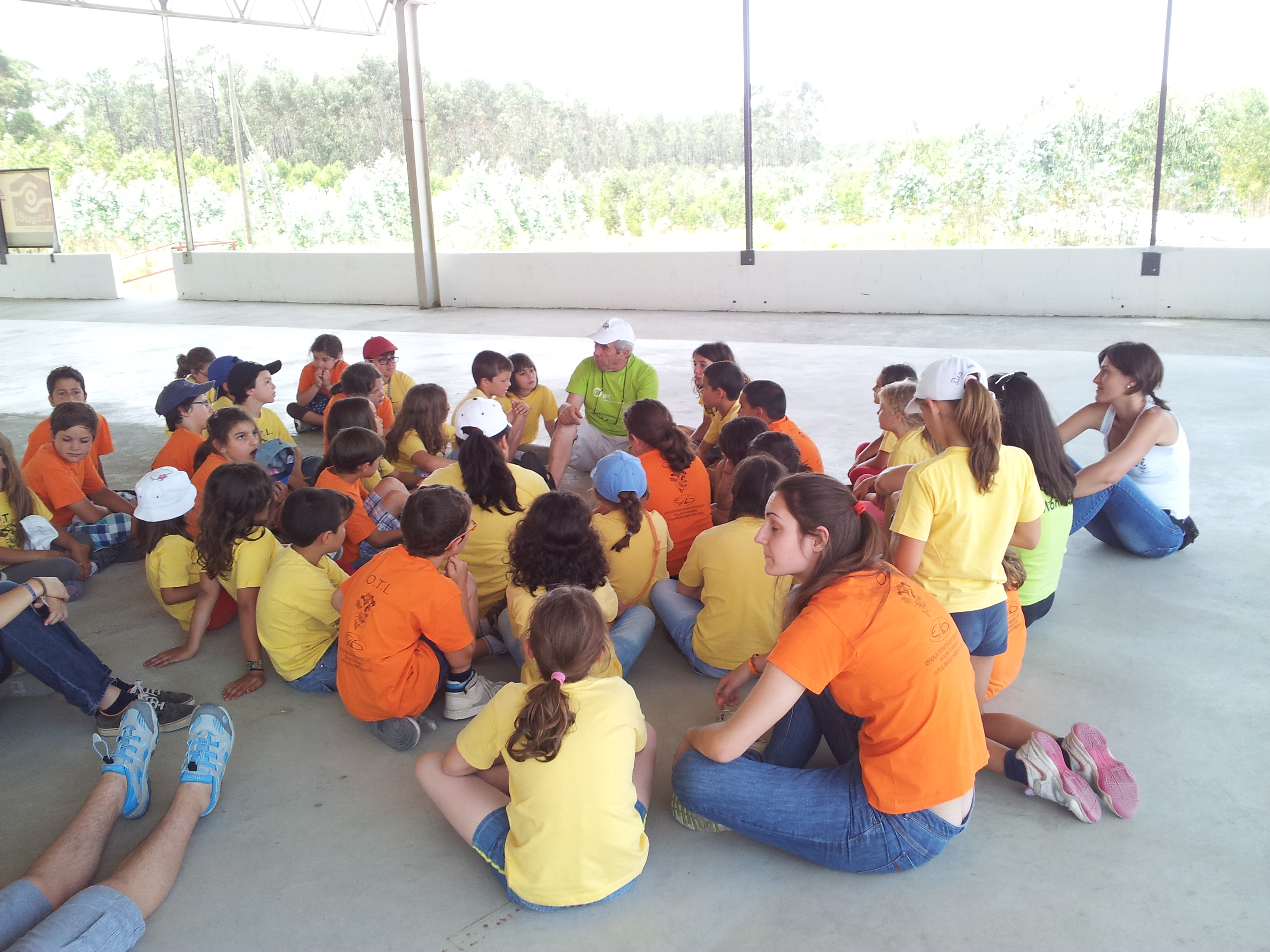 APEE OTL 20131